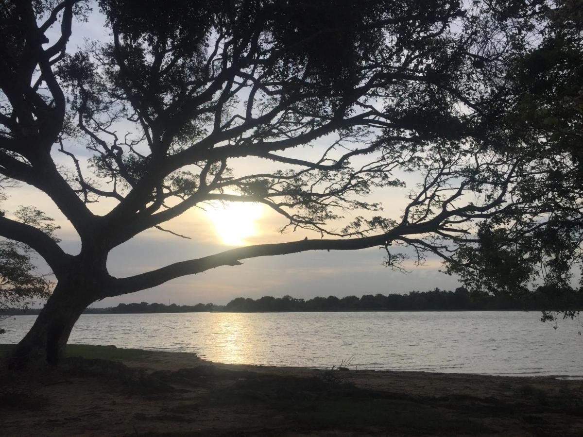 Saffron Lake Yala Тисамахарама Екстериор снимка